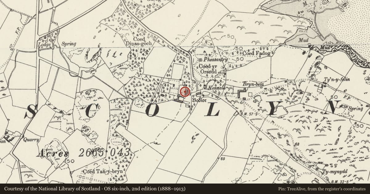 Ordnance Survey six-inch map, 2nd edition (1888–1913) covering the location of Bodior, Rhoscolyn, Isle of Anglesey, with a pin at the register's coordinates