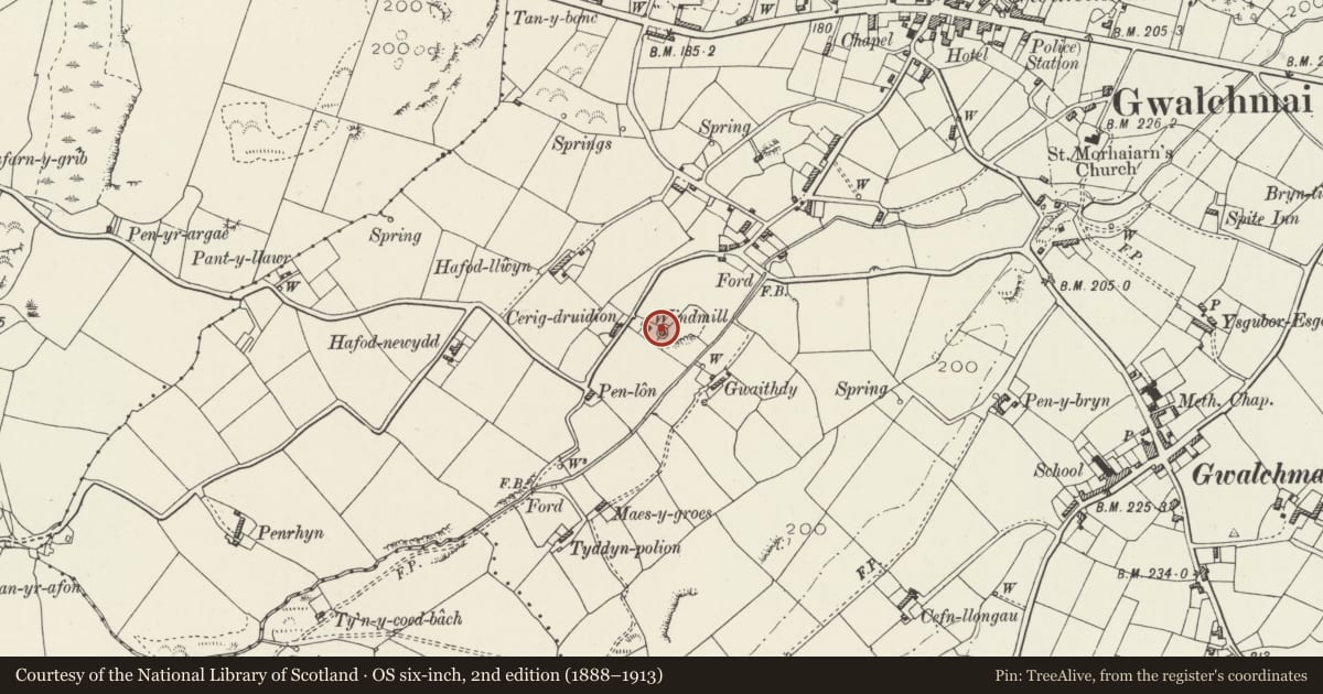 Ordnance Survey six-inch map, 2nd edition (1888–1913) covering the location of Melin Gwalchmai, Trewalchmai, Isle of Anglesey, with a pin at the register's coordinates