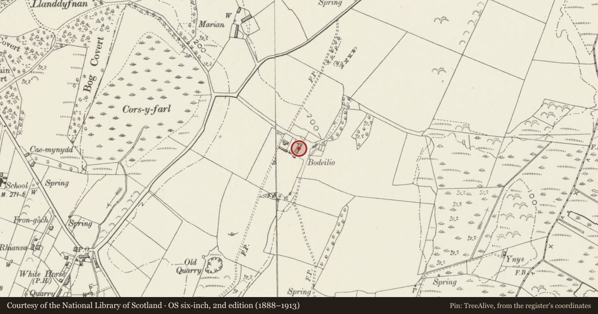 Ordnance Survey six-inch map, 2nd edition (1888–1913) covering the location of Bodeilio, Llanddyfnan, Isle of Anglesey, with a pin at the register's coordinates