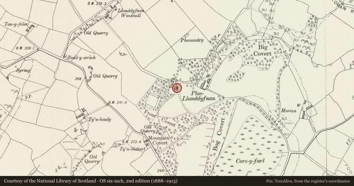 Ordnance Survey six-inch map, 2nd edition (1888–1913) covering the location of Plas Llanddyfnan, Isle of Anglesey, with a pin at the register's coordinates