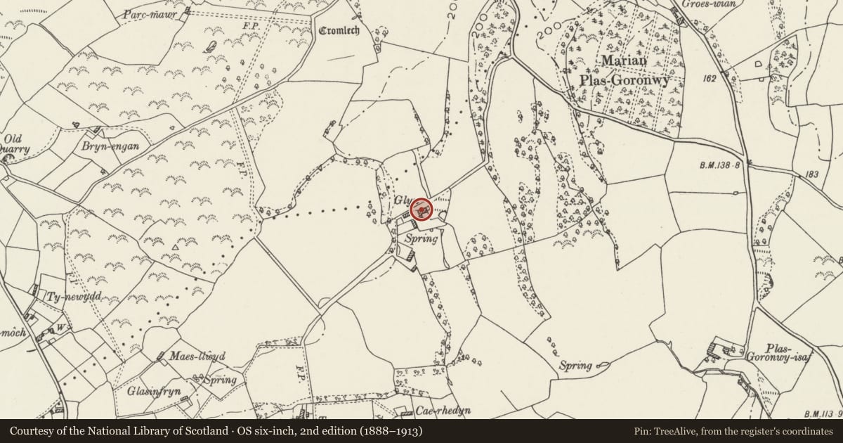 Ordnance Survey six-inch map, 2nd edition (1888–1913) covering the location of Glyn, Llanfair-Mathafarn-Eithaf, Isle of Anglesey, with a pin at the register's coordinates