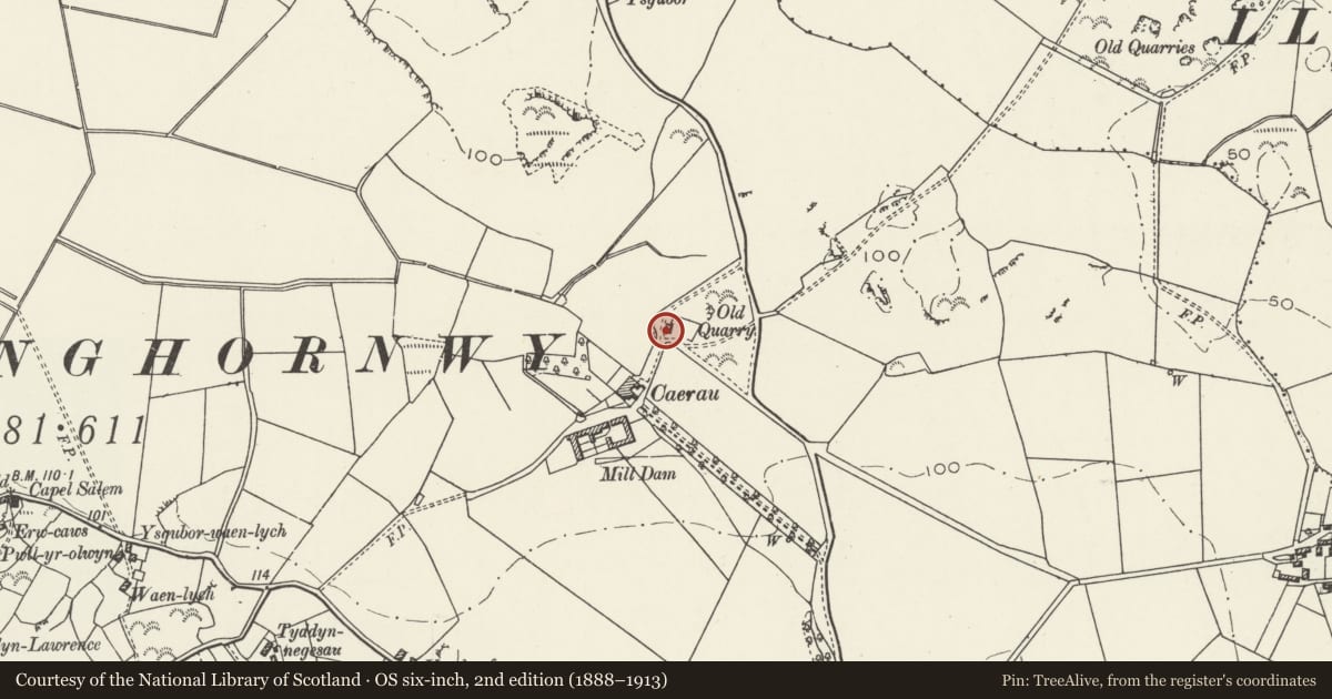 Ordnance Survey six-inch map, 2nd edition (1888–1913) covering the location of Stable with servants quarters at Caerau, Cylch-y-Garn, Isle of Anglesey, with a pin at the register's coordinates