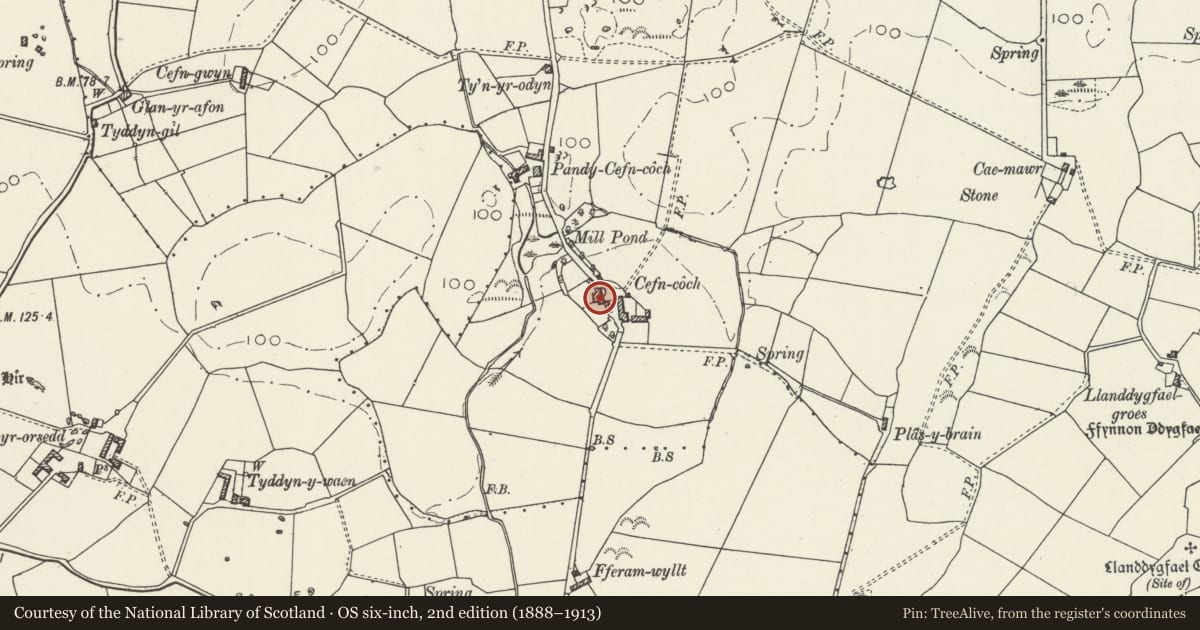 Ordnance Survey six-inch map, 2nd edition (1888–1913) covering the location of Cefn Coch, Mechell, Isle of Anglesey, with a pin at the register's coordinates