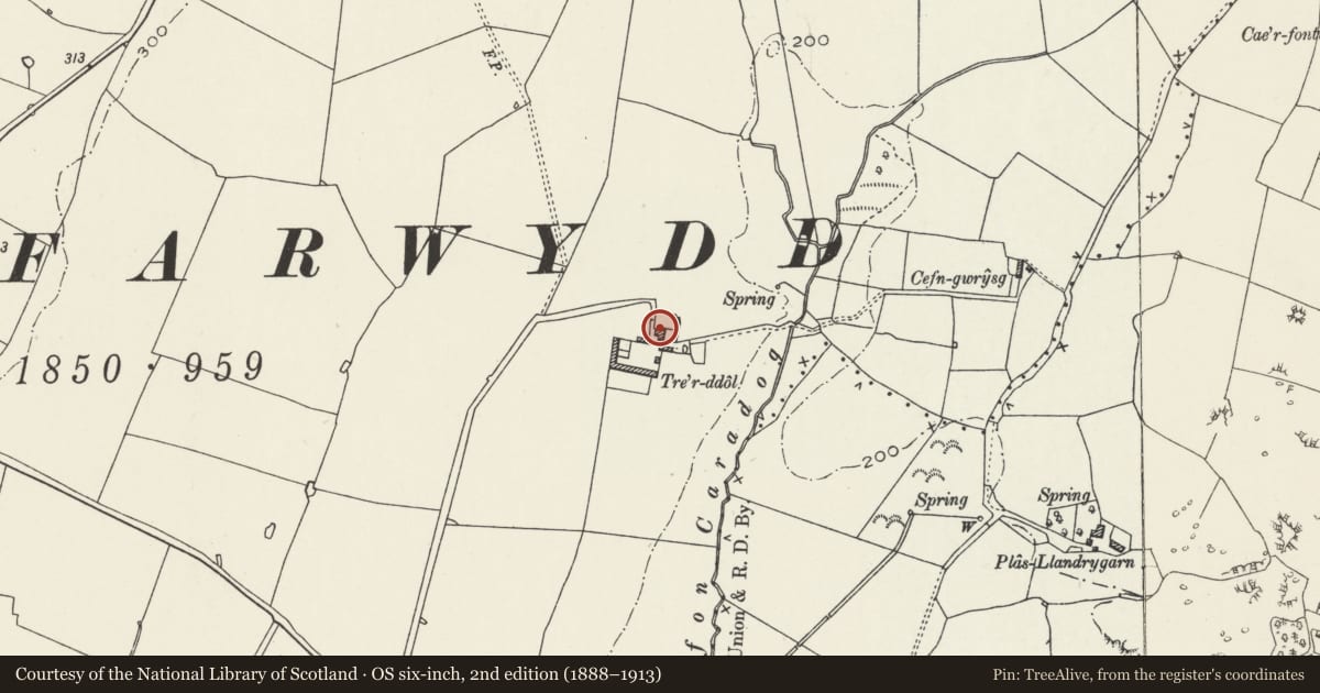 Ordnance Survey six-inch map, 2nd edition (1888–1913) covering the location of Tre'r Ddol, Tref Alaw, Isle of Anglesey, with a pin at the register's coordinates