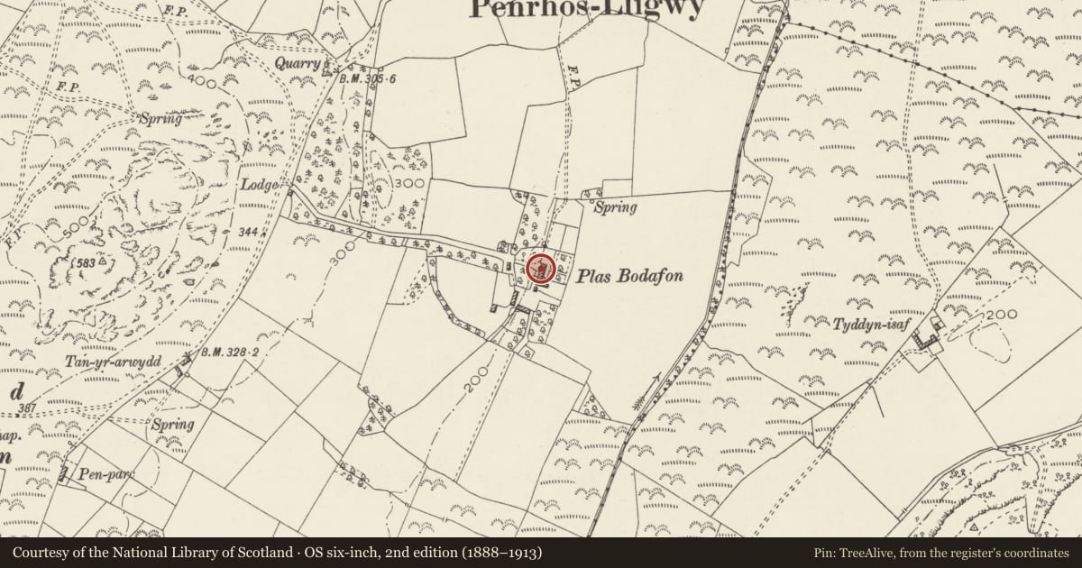 Ordnance Survey six-inch map, 2nd edition (1888–1913) covering the location of Plas Bodafon, Moelfre, Isle of Anglesey, with a pin at the register's coordinates
