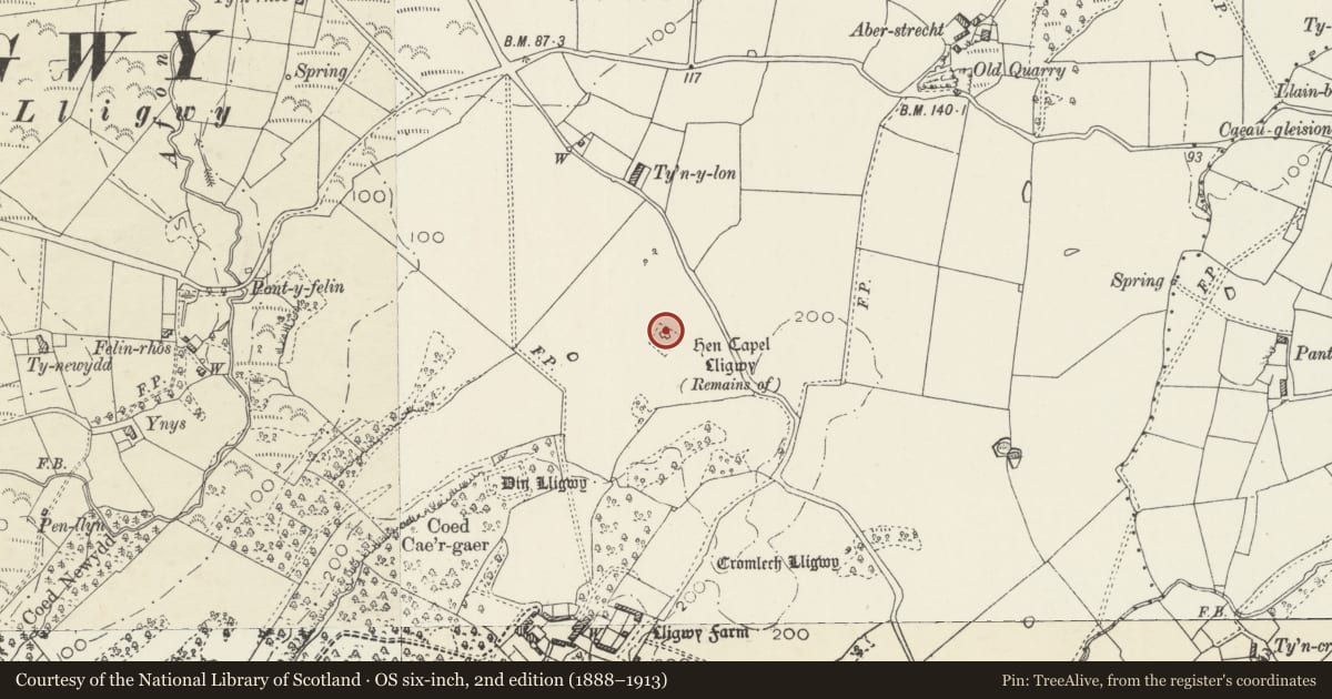 Ordnance Survey six-inch map, 2nd edition (1888–1913) covering the location of Capel Lligwy, Moelfre, Isle of Anglesey, with a pin at the register's coordinates