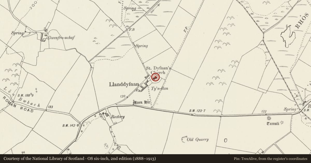 Ordnance Survey six-inch map, 2nd edition (1888–1913) covering the location of Church of St Dyfnan, Llanddyfnan, Isle of Anglesey, with a pin at the register's coordinates