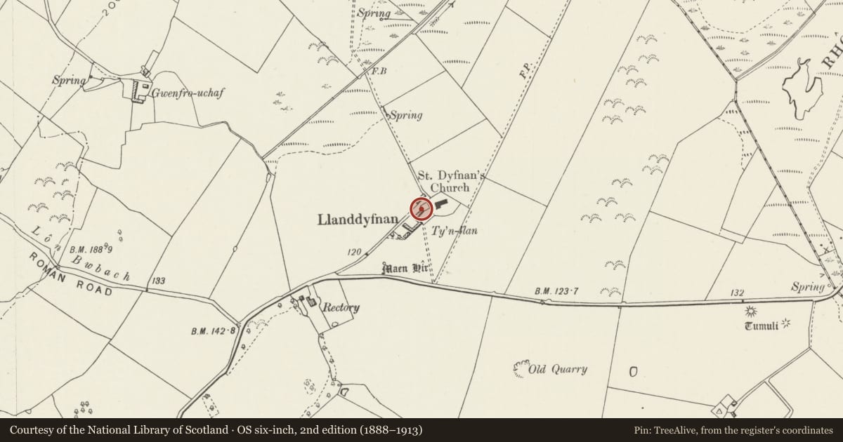 Ordnance Survey six-inch map, 2nd edition (1888–1913) covering the location of Ty'n Llan, Llanddyfnan, Isle of Anglesey, with a pin at the register's coordinates