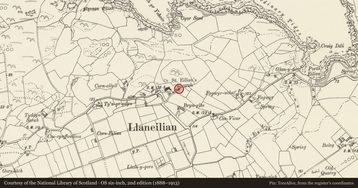 Ordnance Survey six-inch map, 2nd edition (1888–1913) covering the location of Tan y Fynwent, Llaneilian, Isle of Anglesey, with a pin at the register's coordinates