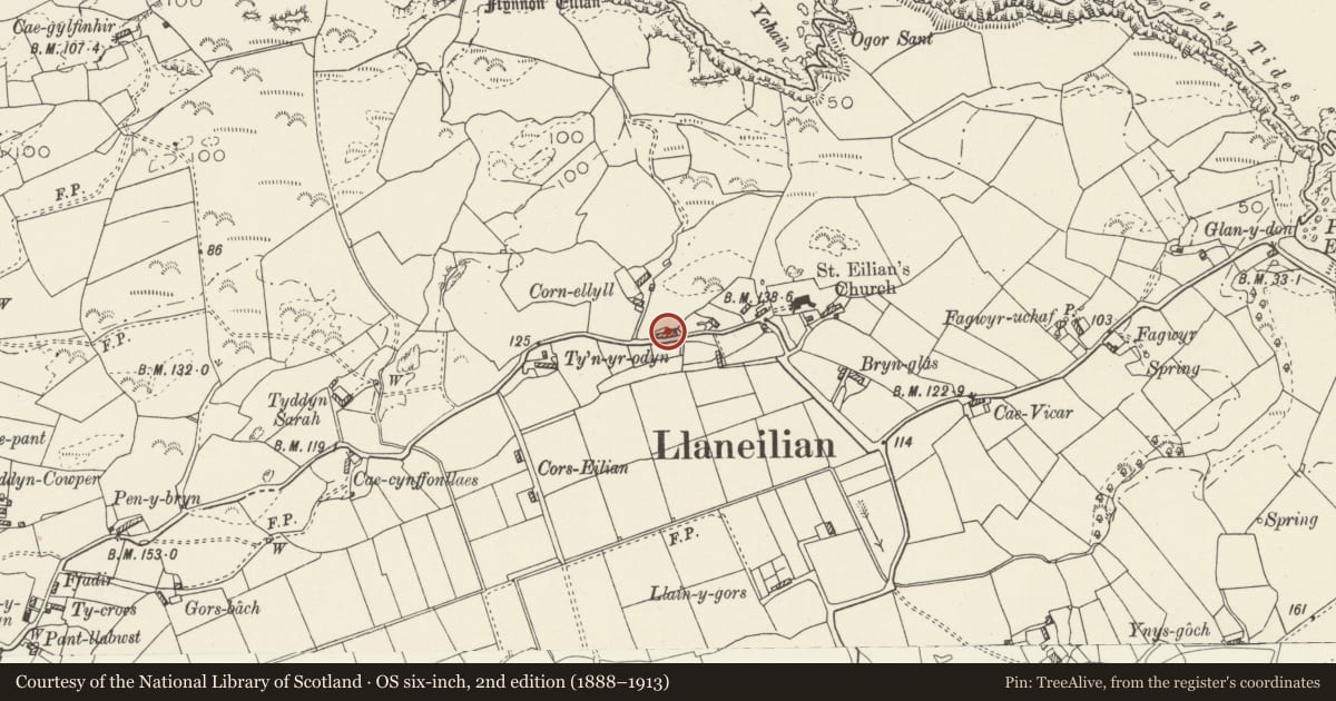 Ordnance Survey six-inch map, 2nd edition (1888–1913) covering the location of Llanfoi, Llaneilian, Isle of Anglesey, with a pin at the register's coordinates