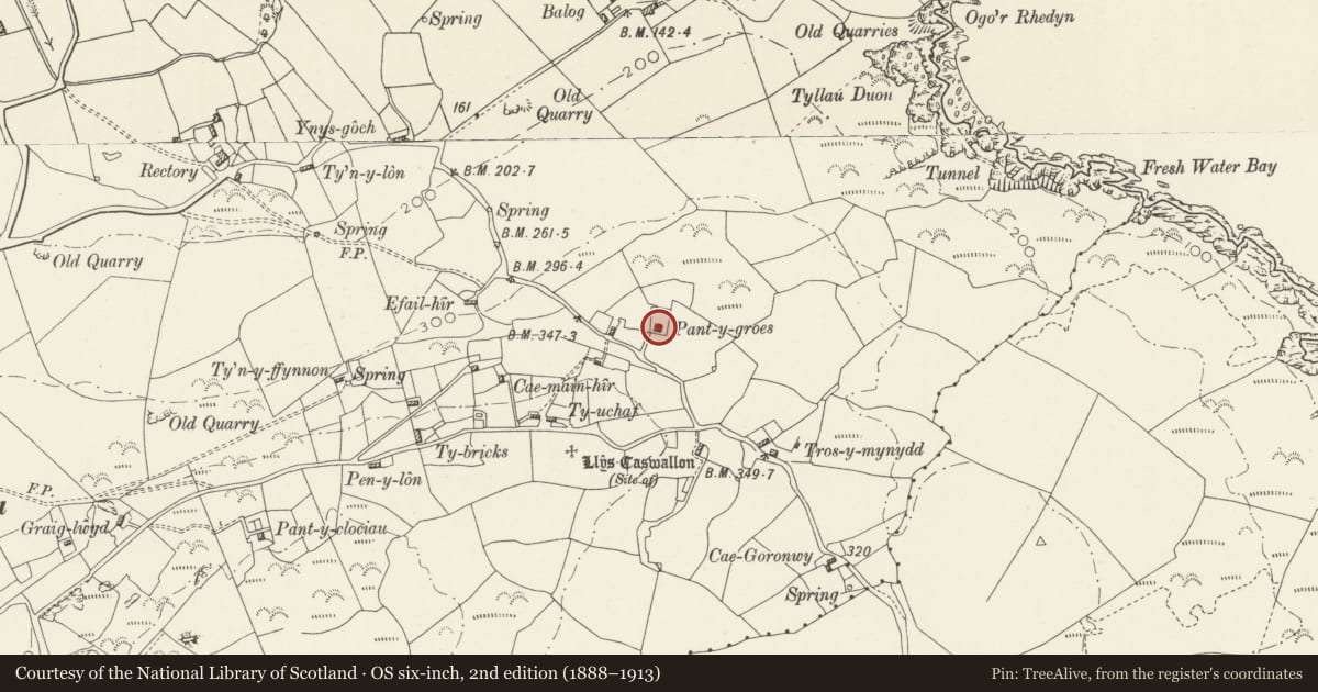 Ordnance Survey six-inch map, 2nd edition (1888–1913) covering the location of The Olde Telegraph, Llaneilian, Isle of Anglesey, with a pin at the register's coordinates