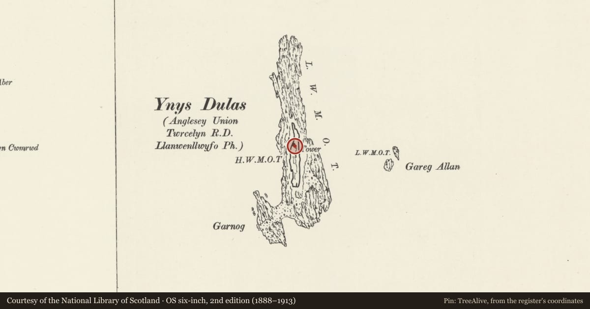 Ordnance Survey six-inch map, 2nd edition (1888–1913) covering the location of Ynys Dulas Tower, Llaneilian, Isle of Anglesey, with a pin at the register's coordinates