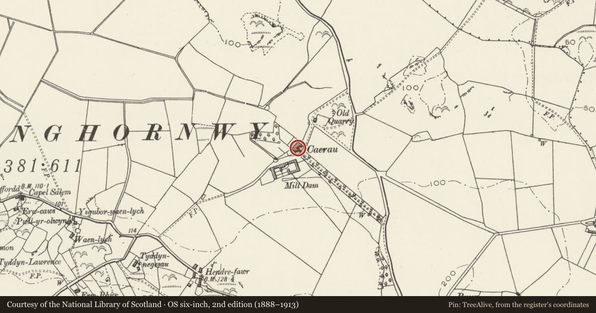 Ordnance Survey six-inch map, 2nd edition (1888–1913) covering the location of Caerau, Cylch-y-Garn, Isle of Anglesey, with a pin at the register's coordinates