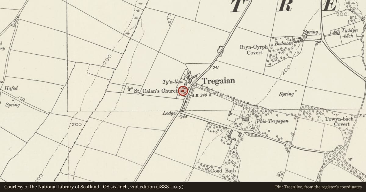 Ordnance Survey six-inch map, 2nd edition (1888–1913) covering the location of Church of St Caian, Llanddyfnan, Isle of Anglesey, with a pin at the register's coordinates