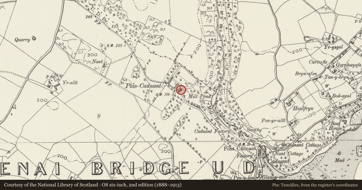 Ordnance Survey six-inch map, 2nd edition (1888–1913) covering the location of Plas Cadnant, Menai Bridge, Isle of Anglesey, with a pin at the register's coordinates
