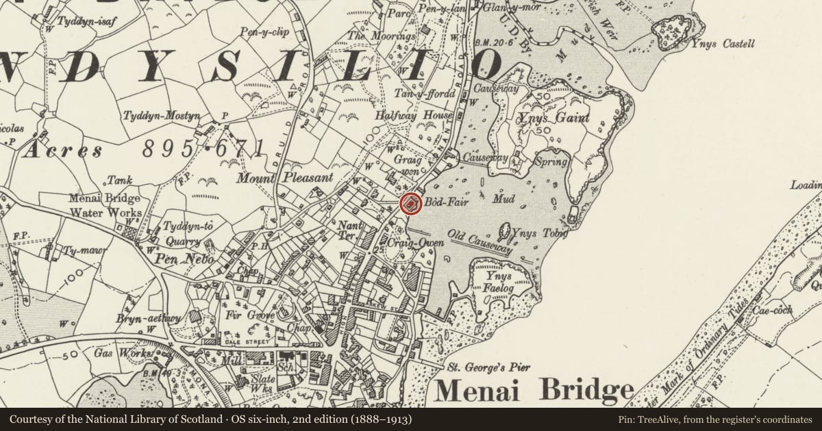 Ordnance Survey six-inch map, 2nd edition (1888–1913) covering the location of Bron Menai, Menai Bridge, Isle of Anglesey, with a pin at the register's coordinates