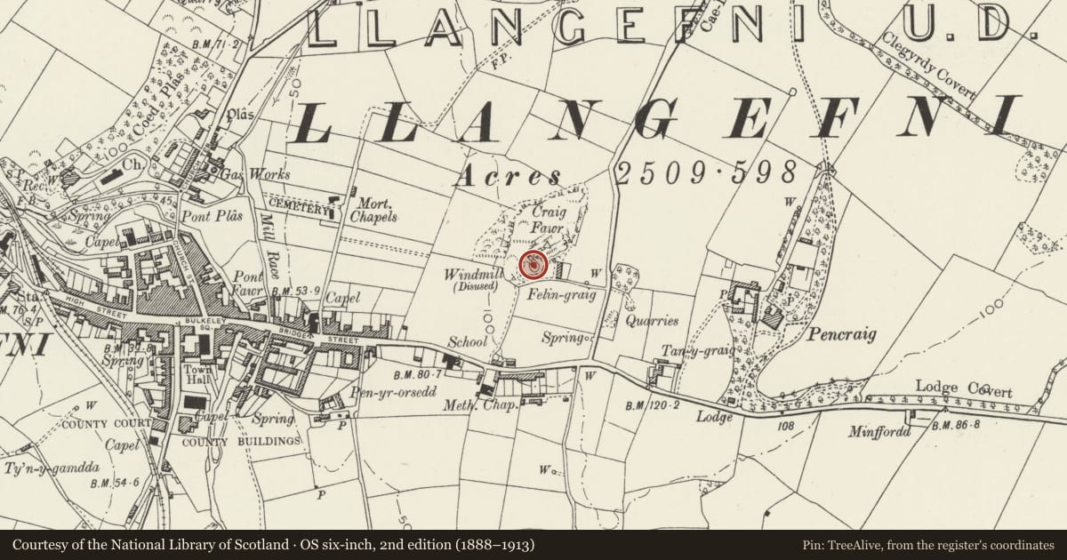 Ordnance Survey six-inch map, 2nd edition (1888–1913) covering the location of Melin Wynt y Craig, Llangefni, Isle of Anglesey, with a pin at the register's coordinates