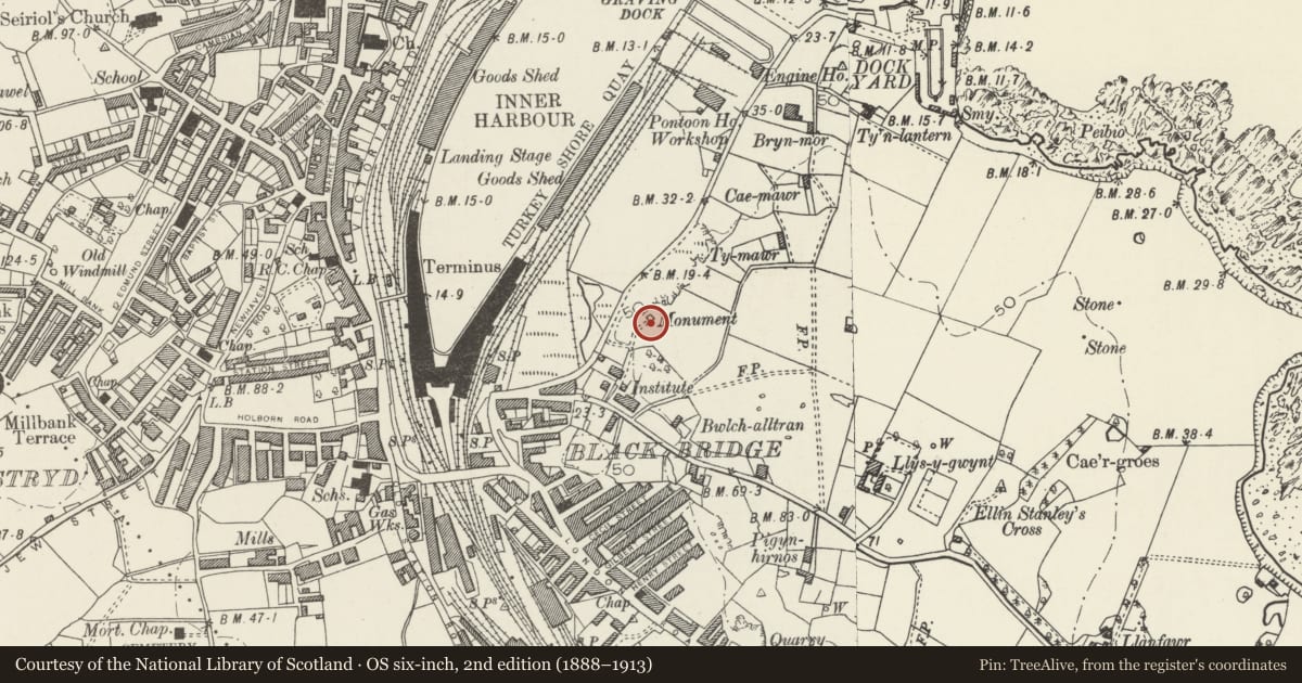 Ordnance Survey six-inch map, 2nd edition (1888–1913) covering the location of Skinner Monument, Holyhead, Isle of Anglesey, with a pin at the register's coordinates