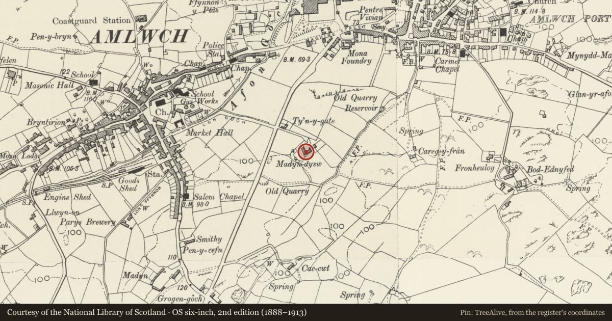 Ordnance Survey six-inch map, 2nd edition (1888–1913) covering the location of Madyn Dysw, Amlwch, Isle of Anglesey, with a pin at the register's coordinates