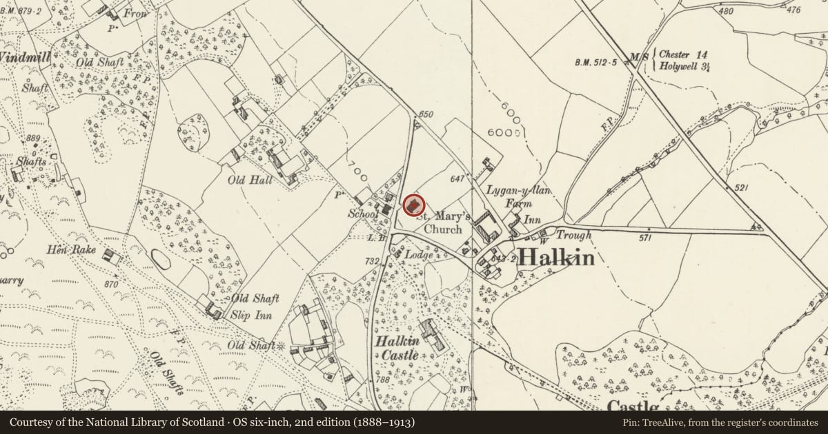 Ordnance Survey six-inch map, 2nd edition (1888–1913) covering the location of Church of St Mary, Halkyn, Flintshire, with a pin at the register's coordinates