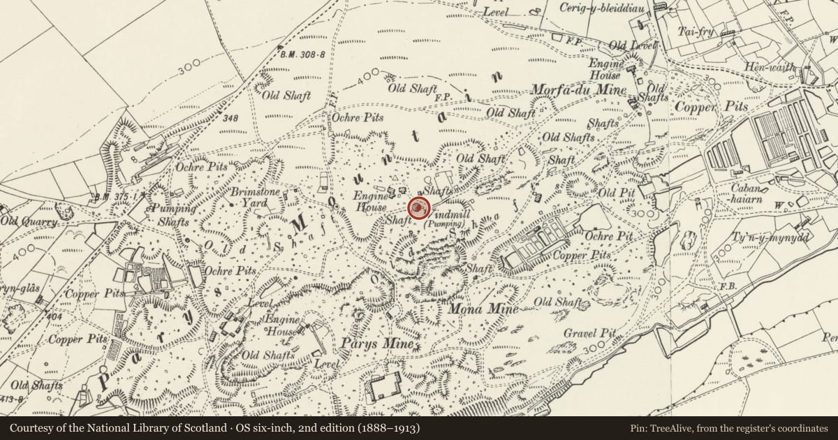 Ordnance Survey six-inch map, 2nd edition (1888–1913) covering the location of Parys Mountain Windmill, Amlwch, Isle of Anglesey, with a pin at the register's coordinates