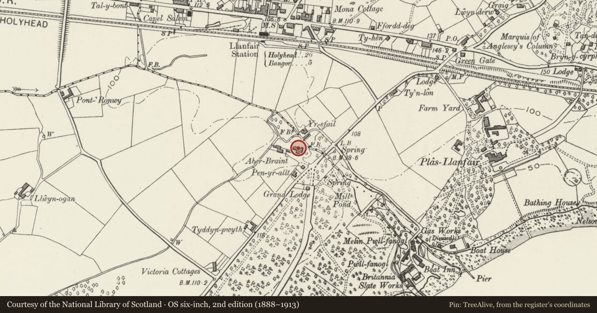 Ordnance Survey six-inch map, 2nd edition (1888–1913) covering the location of Aberbraint, Llanfair Pwllgwyngyll, Isle of Anglesey, with a pin at the register's coordinates