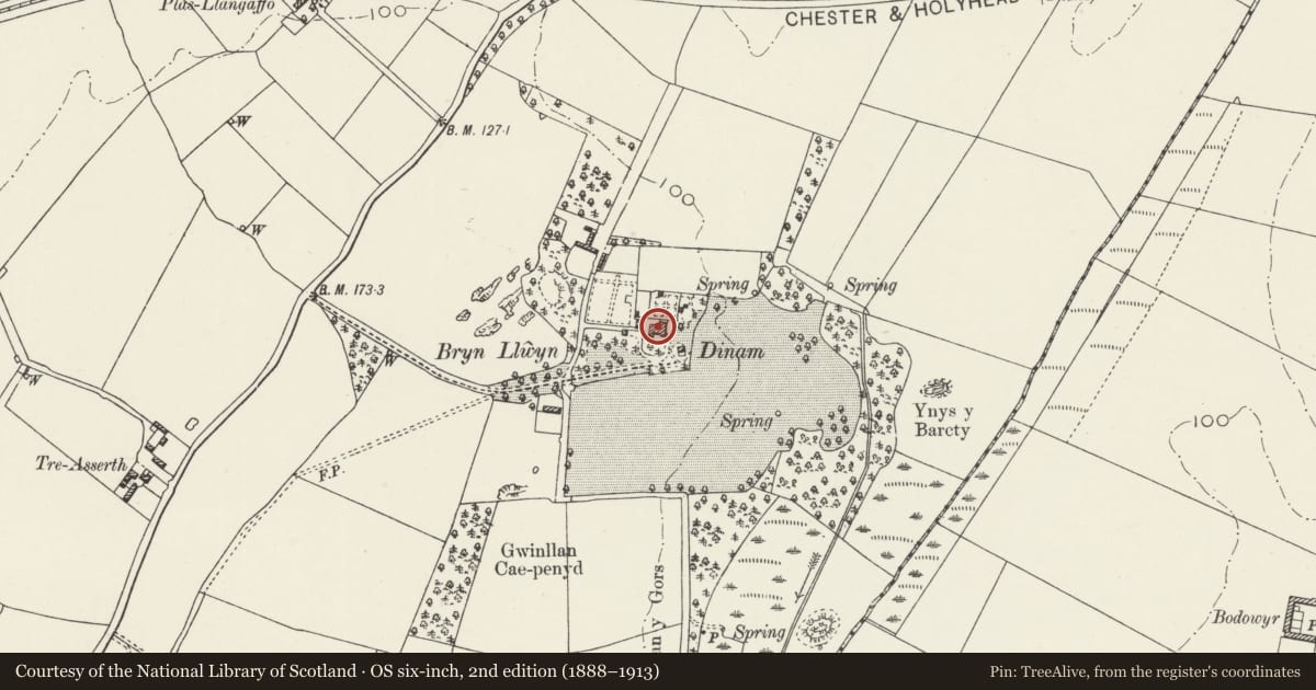 Ordnance Survey six-inch map, 2nd edition (1888–1913) covering the location of Dinam, Rhosyr, Isle of Anglesey, with a pin at the register's coordinates