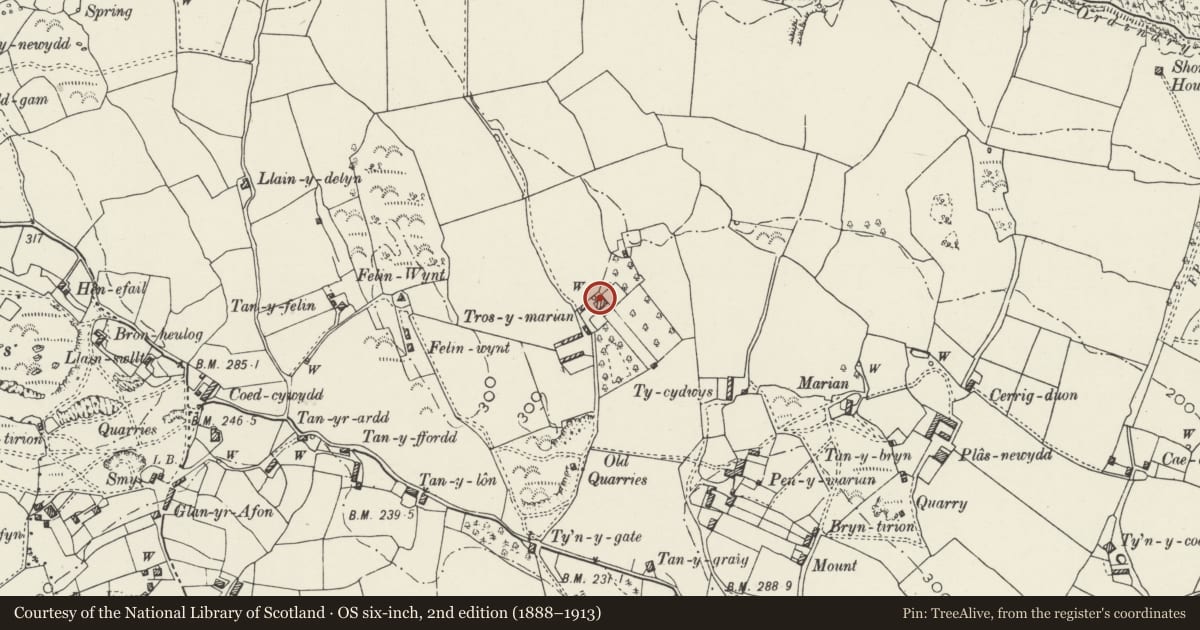 Ordnance Survey six-inch map, 2nd edition (1888–1913) covering the location of Tros-y-marian, Llangoed, Isle of Anglesey, with a pin at the register's coordinates