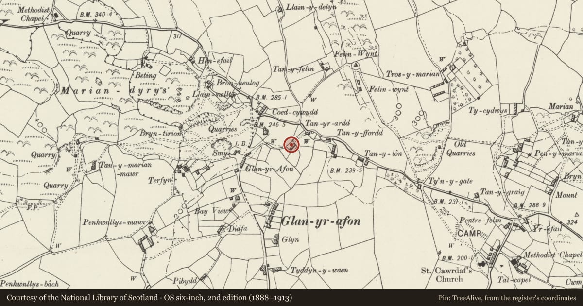 Ordnance Survey six-inch map, 2nd edition (1888–1913) covering the location of Eirianallt, Llangoed, Isle of Anglesey, with a pin at the register's coordinates