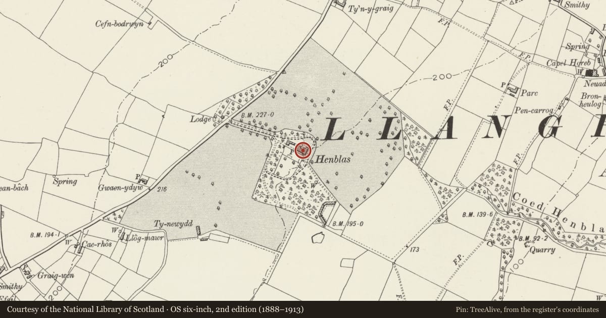 Ordnance Survey six-inch map, 2nd edition (1888–1913) covering the location of Henblas, Llangristiolus, Isle of Anglesey, with a pin at the register's coordinates