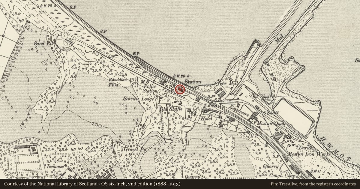 Ordnance Survey six-inch map, 2nd edition (1888–1913) covering the location of Station Building, Mostyn Station, Flintshire, with a pin at the register's coordinates