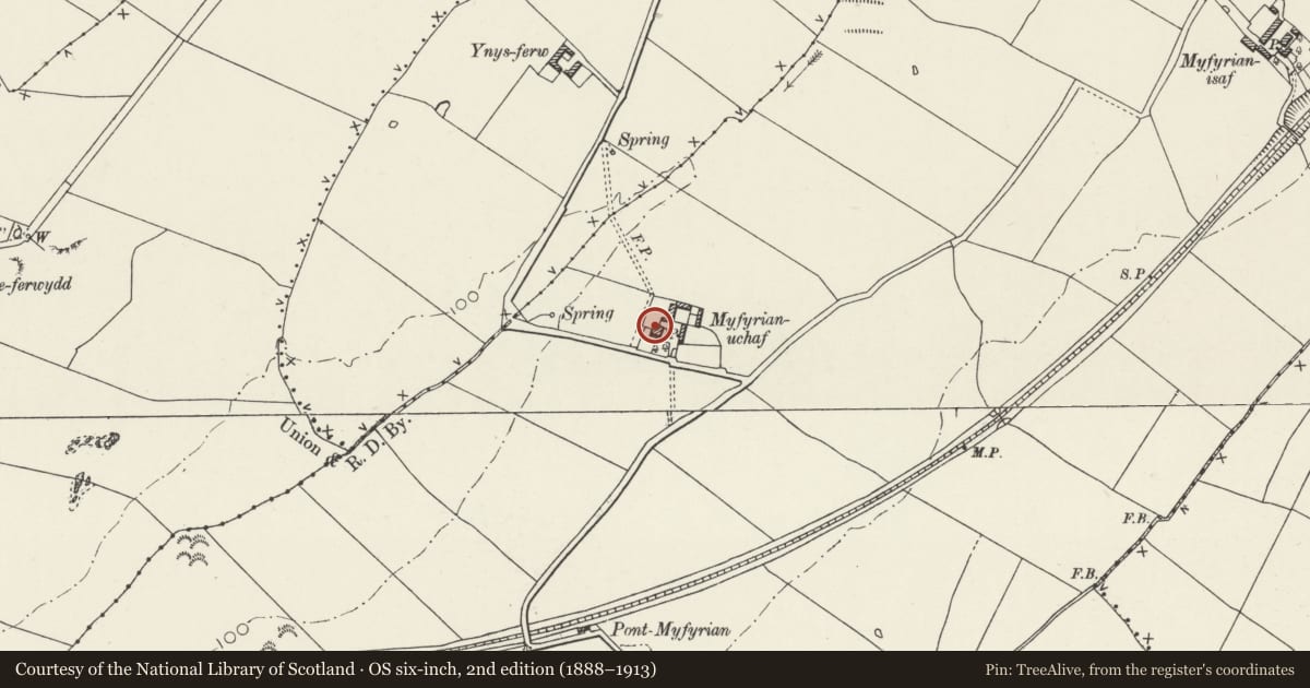 Ordnance Survey six-inch map, 2nd edition (1888–1913) covering the location of Myfyrian Uchaf, Llanfihangel Ysgeifiog, Isle of Anglesey, with a pin at the register's coordinates