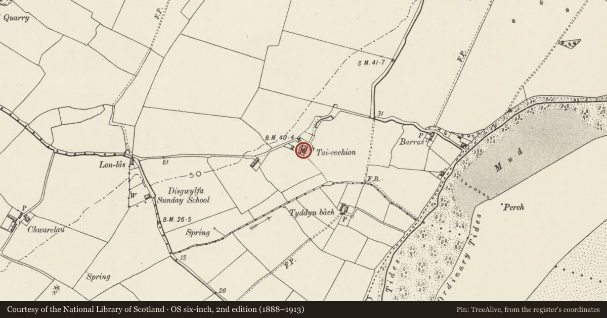 Ordnance Survey six-inch map, 2nd edition (1888–1913) covering the location of Tai Cochion, Llanidan, Isle of Anglesey, with a pin at the register's coordinates