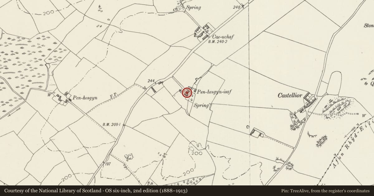 Ordnance Survey six-inch map, 2nd edition (1888–1913) covering the location of Pen-Hesgyn-Isaf, Penmynydd, Isle of Anglesey, with a pin at the register's coordinates