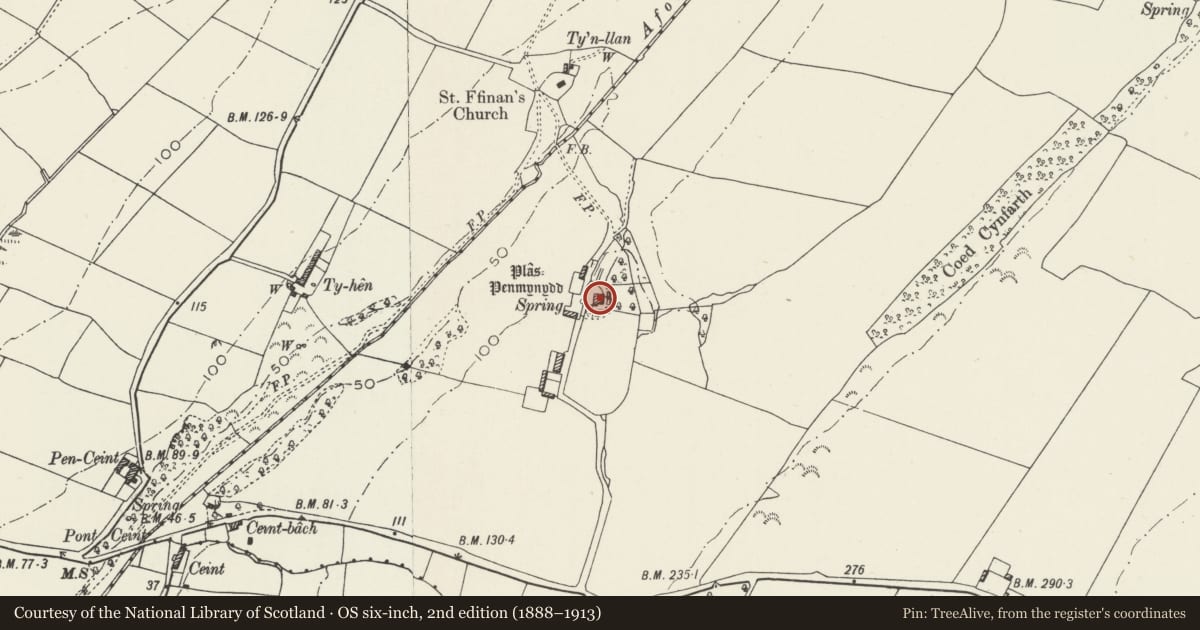 Ordnance Survey six-inch map, 2nd edition (1888–1913) covering the location of Plas Penmynydd, Isle of Anglesey, with a pin at the register's coordinates