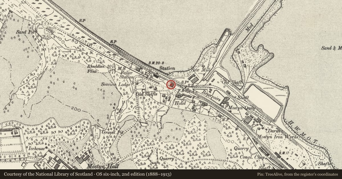 Ordnance Survey six-inch map, 2nd edition (1888–1913) covering the location of Goods Shed to SE of Mostyn Station, Flintshire, with a pin at the register's coordinates