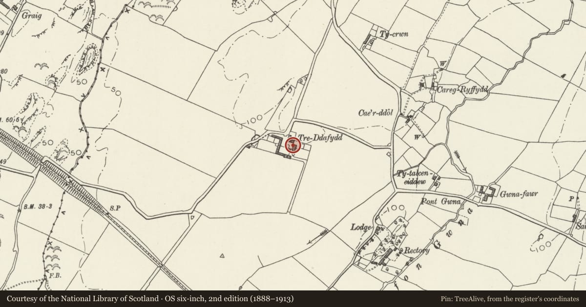 Ordnance Survey six-inch map, 2nd edition (1888–1913) covering the location of Tre-Ddafydd-uchaf also known as Treddafydd-fawr, Bodorgan, Isle of Anglesey, with a pin at the register's coordinates