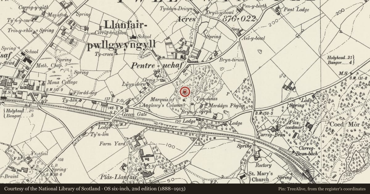 Ordnance Survey six-inch map, 2nd edition (1888–1913) covering the location of Column Cottage, Llanfair Pwllgwyngyll, Isle of Anglesey, with a pin at the register's coordinates
