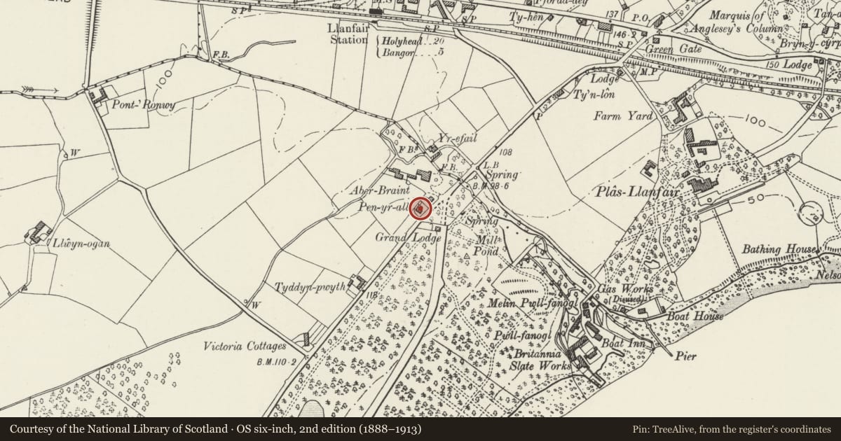 Ordnance Survey six-inch map, 2nd edition (1888–1913) covering the location of Pen yr Allt, Llanfair Pwllgwyngyll, Isle of Anglesey, with a pin at the register's coordinates