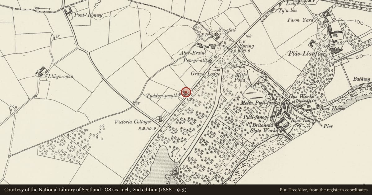 Ordnance Survey six-inch map, 2nd edition (1888–1913) covering the location of Tyddyn Pwyth, Llanfair Pwllgwyngyll, Isle of Anglesey, with a pin at the register's coordinates