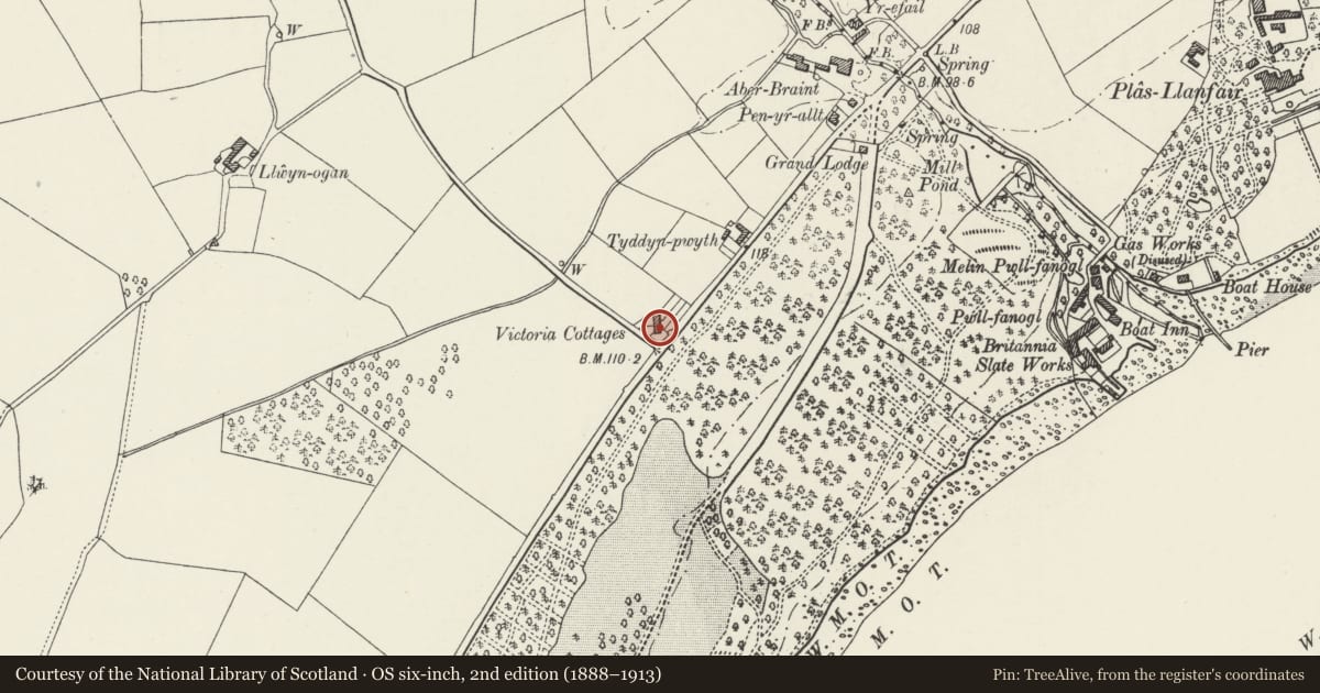 Ordnance Survey six-inch map, 2nd edition (1888–1913) covering the location of Victoria Cottages, Llanfair Pwllgwyngyll, Isle of Anglesey, with a pin at the register's coordinates