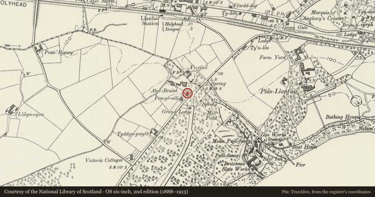 Ordnance Survey six-inch map, 2nd edition (1888–1913) covering the location of Aberbraint Lodge, Llanfair Pwllgwyngyll, Isle of Anglesey, with a pin at the register's coordinates