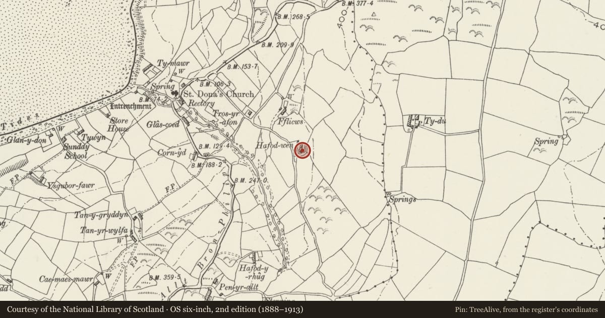 Ordnance Survey six-inch map, 2nd edition (1888–1913) covering the location of Hafod-Wen, Llanddona, Isle of Anglesey, with a pin at the register's coordinates