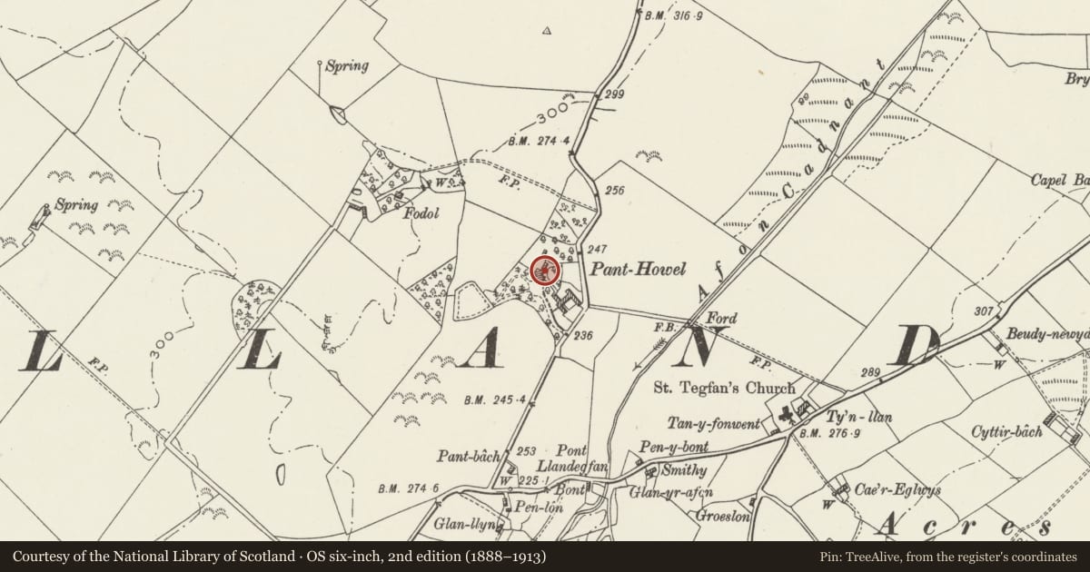 Ordnance Survey six-inch map, 2nd edition (1888–1913) covering the location of Pant Howell, Cwm Cadnant, Isle of Anglesey, with a pin at the register's coordinates