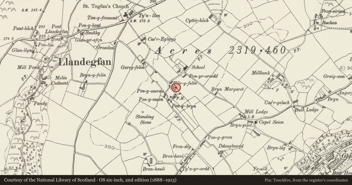 Ordnance Survey six-inch map, 2nd edition (1888–1913) covering the location of Melin Llandegfan, Cwm Cadnant, Isle of Anglesey, with a pin at the register's coordinates
