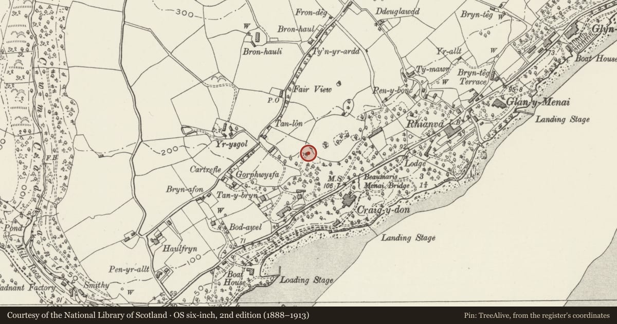 Ordnance Survey six-inch map, 2nd edition (1888–1913) covering the location of Tower and walls at Min y Twr, Cwm Cadnant, Isle of Anglesey, with a pin at the register's coordinates