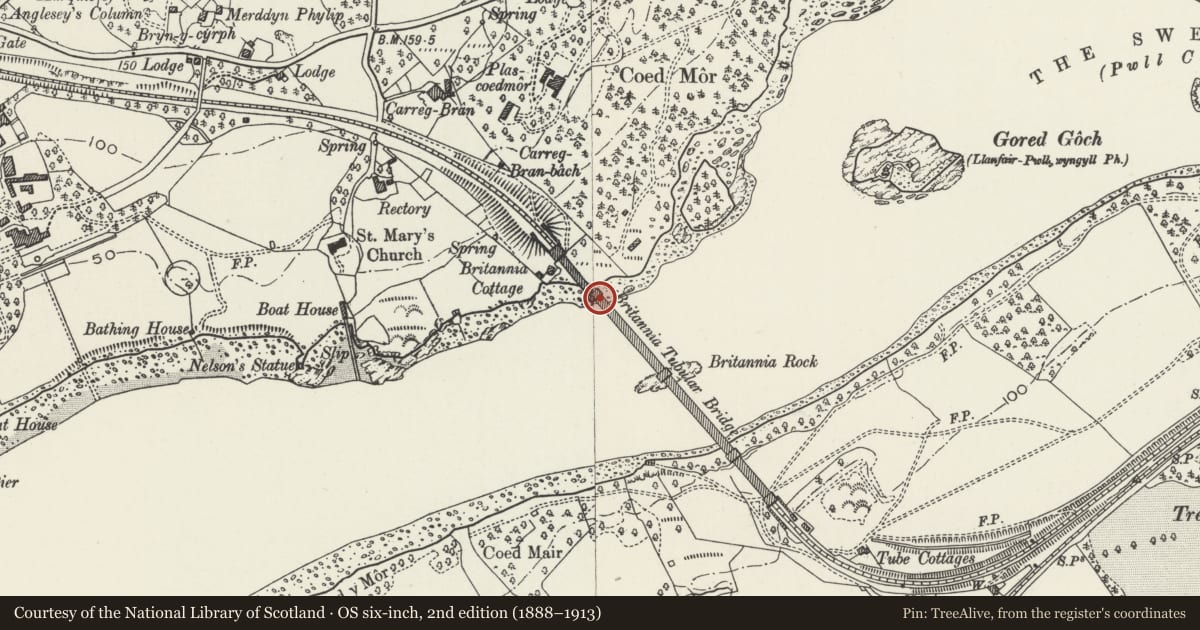 Ordnance Survey six-inch map, 2nd edition (1888–1913) covering the location of Britannia Tubular Bridge (part in Treborth Community), Llanfair Pwllgwyngyll, Isle of Anglesey, with a pin at the register's coordinates