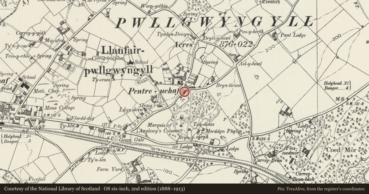 Ordnance Survey six-inch map, 2nd edition (1888–1913) covering the location of Pen Parc, Llanfair Pwllgwyngyll, Isle of Anglesey, with a pin at the register's coordinates