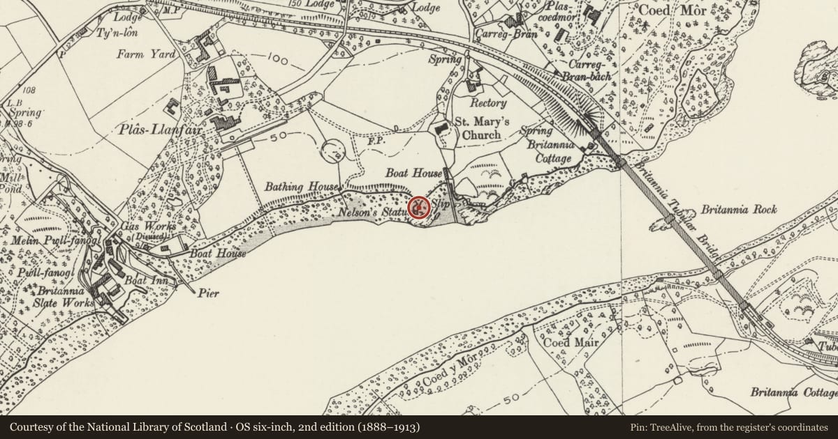 Ordnance Survey six-inch map, 2nd edition (1888–1913) covering the location of Statue of Nelson on shore of Menai Strait, Llanfair Pwllgwyngyll, Isle of Anglesey, with a pin at the register's coordinates