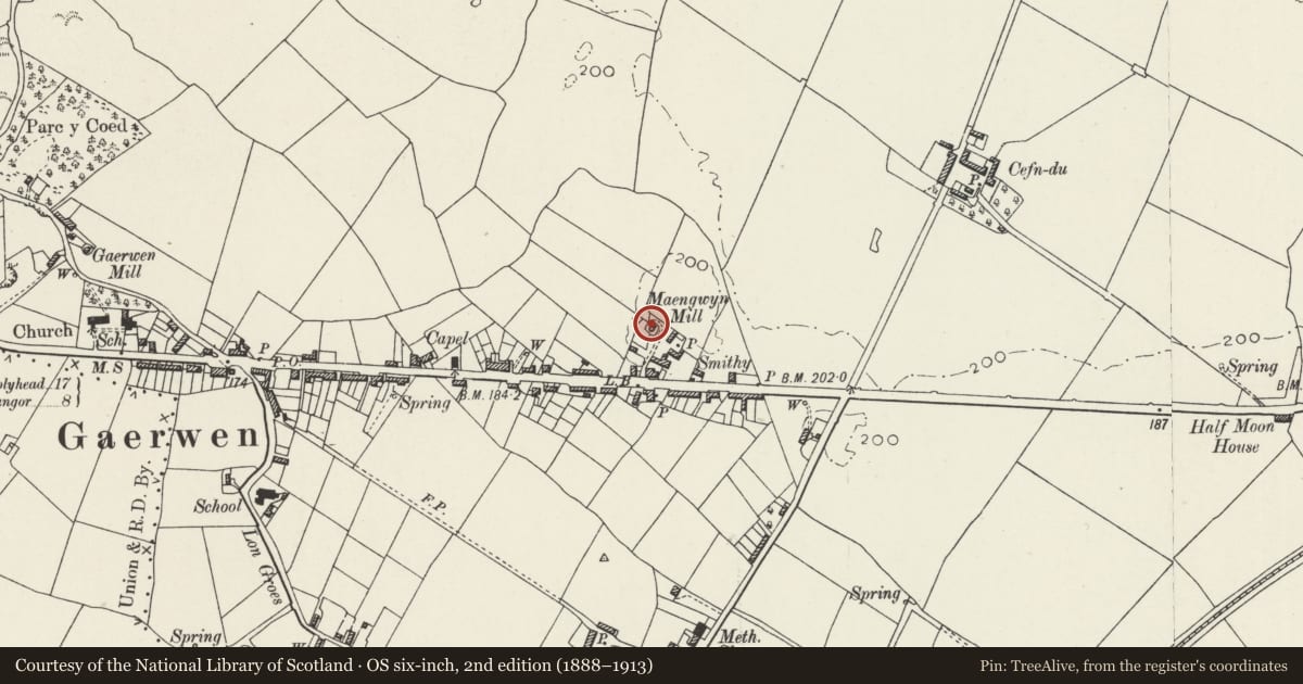 Ordnance Survey six-inch map, 2nd edition (1888–1913) covering the location of Melin Maengwyn, Llanfihangel Ysgeifiog, Isle of Anglesey, with a pin at the register's coordinates